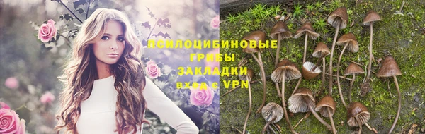 спиды Белоозёрский